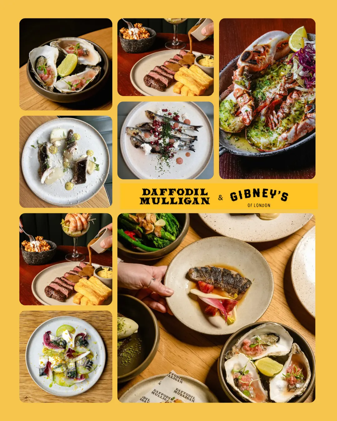 Daffodil Mulligan & Gibney's-Sports Bar-Gastro Pub-Live-Music