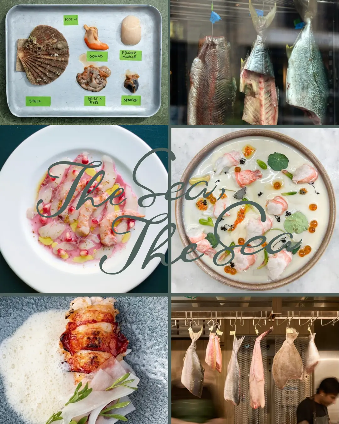 The Sea, The Sea-Fishmongers-Fine Dining Restaurant-Seafood Restaurant-Michelin
